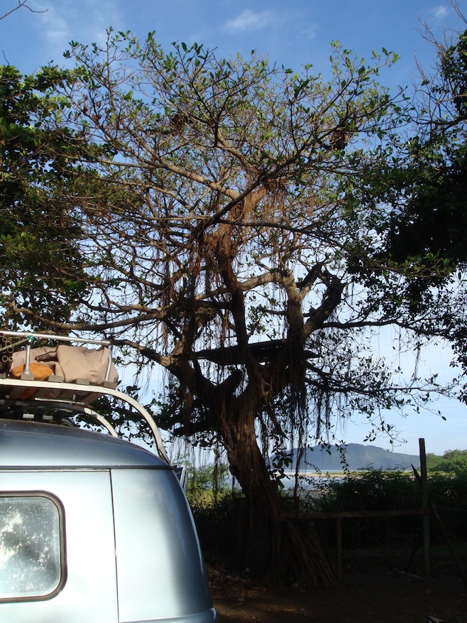 CR Tamarindo Camp